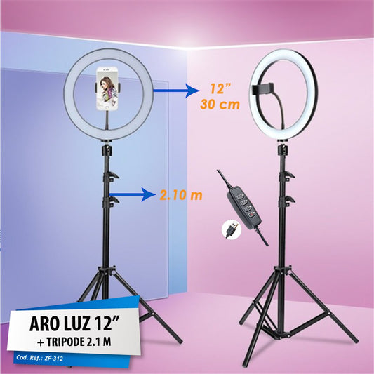 ARO LUZ LED 12"